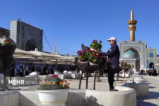 آزین‌بندی حرم مطهر رضوی در روز میلاد حضرت معصومه (س)