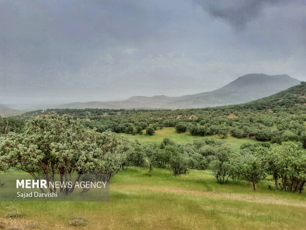 طبیعت بهاری لرستان