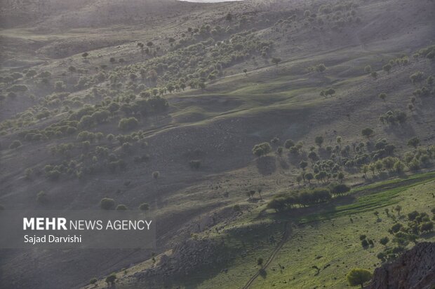 طبیعت بهاری لرستان