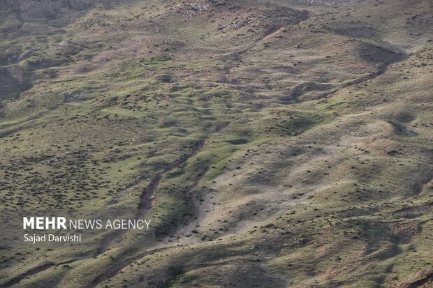 طبیعت بهاری لرستان