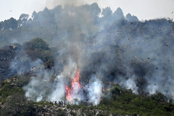 Several killed in forest fire in NW Pakistan