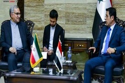 Tehran, Damascus discuss boosting coop. in health sector