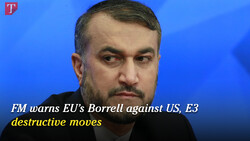 FM warns EU's Borrell against U.S., E3 destructive moves