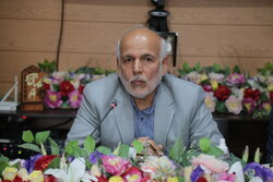 کمیته‌های تخصصی شورای فرهنگ عمومی در بوشهر تشکیل شود