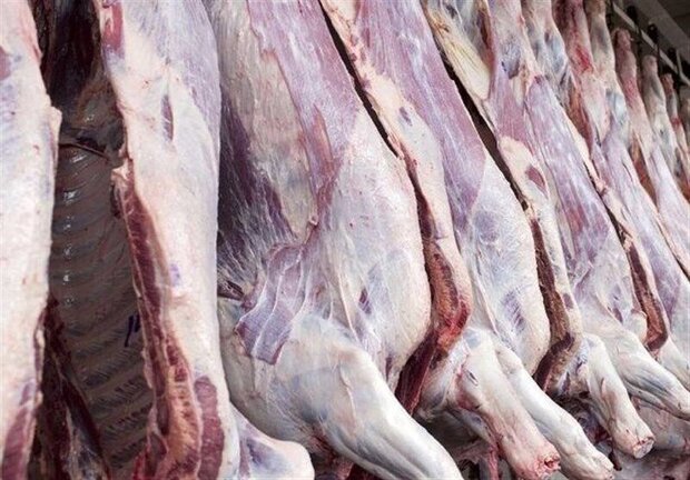 شهرداری اهواز برای جمع‌آوری عرضه کنندگان گوشت غیرمجاز اقدام کند