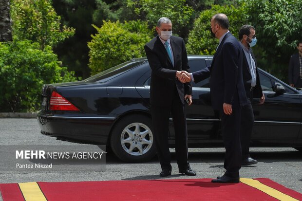 Iran FM, Iraqi interior minister meet in Tehran
