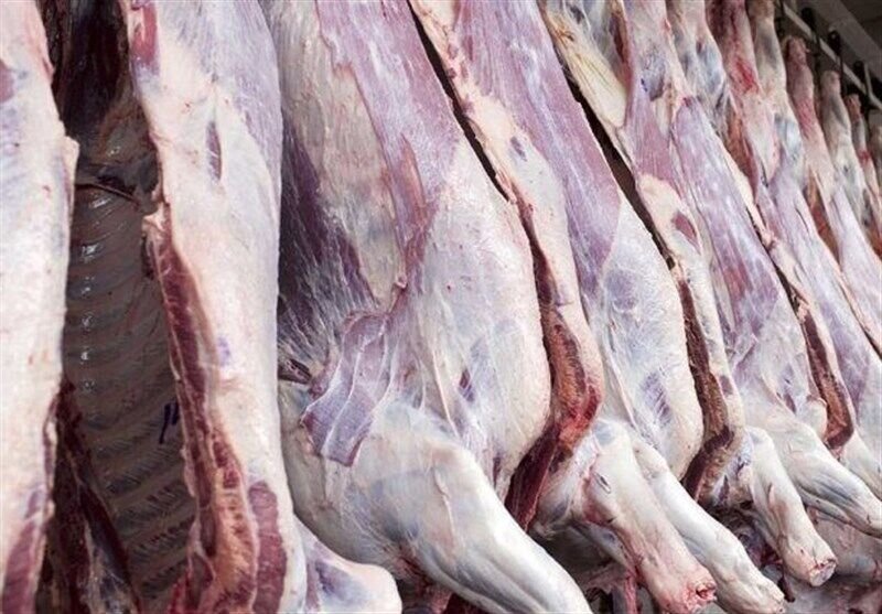 فرآیند توزیع گوشت قرمز در استان نیازمند اصلاح است