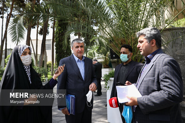 محمد اسلامی رئیس سازمان انرژی اتمی در حاشیه جلسه هیئت دولت حضور دارد