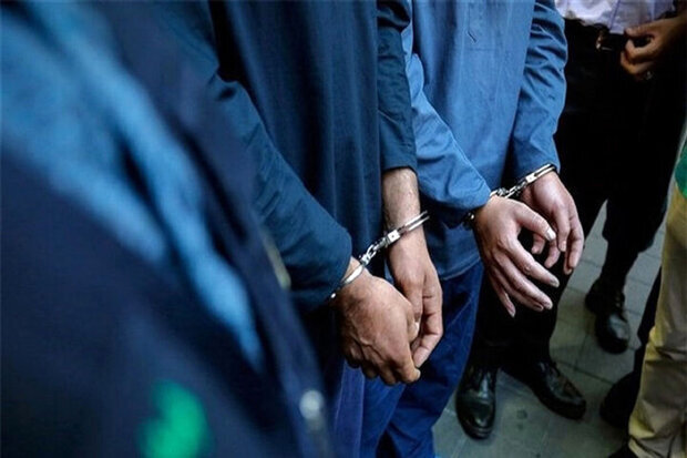 ۴ نفر از اراذل و اوباش پردیس دستگیر شدند