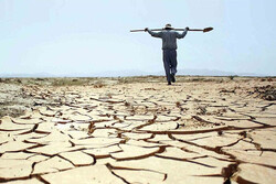 خسارت خشکسالی به ۷۰ هزار هکتار از اراضی زراعی گلستان