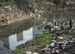 رستگاری: متخلف زیست‌محیطی در ری به ۳۰۰ ساعت خدمات عمومی محکوم شد