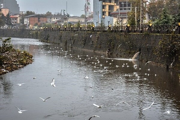 چگونگی جبران خسارت ناشی از حمله به محیط زیست در جنگ 2