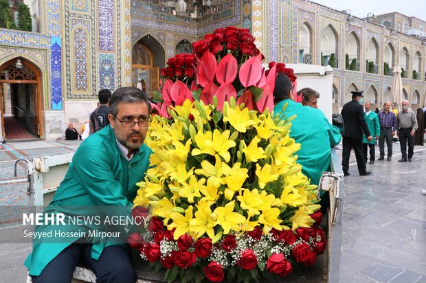 آئین سنتی تعویض گل های بالای ضریح حرم مطهر رضوی