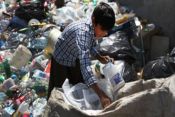 برخی پیمانکاران از کودکان برای جمع‌آوری زباله استفاده می‌کنند