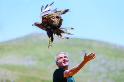 Rehabilitated birds released back into wild