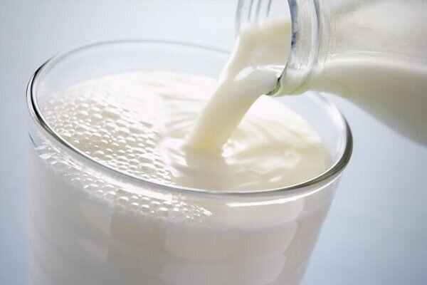 تولید بیش از 302 هزار تن شیر در چهارمحال و بختیاری