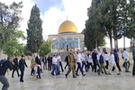 جولان صهیونیستها در مسجدالاقصی+ فیلم