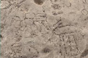 شناسایی سنگ نگارههای پیش از تاریخ در گلهدار