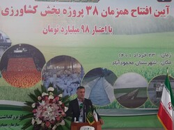 ۳۸ هزار هکتار کشت قراردادی برنج در مازندران انجام شد