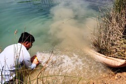 ۶۵۰ هزار قطعه ماهی بومی در رودخانه مارون رهاسازی شد