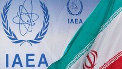 IAEA monitoring of Iran nuclear activities continue: AEOI