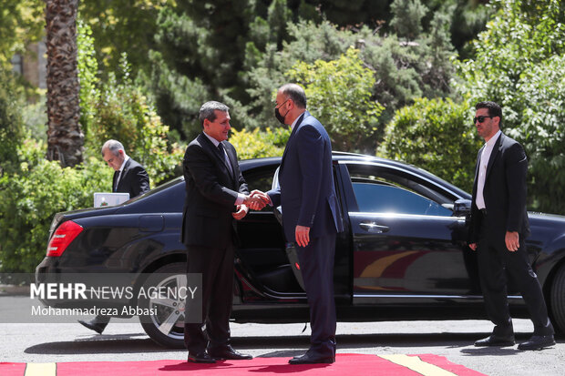 حسین امیرعبداللهیان وزیر امور خارجه ایران در حال استقبال از رشید مردوف وزیر خارجه ترکمنستان است