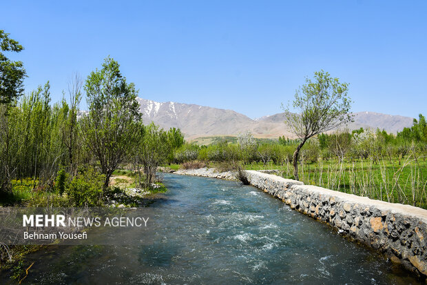 ونایی بهشت بروجرد