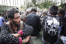 ۱۴۷ معتاد متجاهر در اصفهان جمع آوری شد