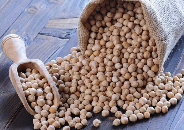 رویاهایی که هرساله شخم میخورند/نخودکرمانشاه درسراشیبی کاهش کیفیت