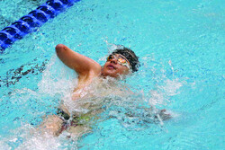 Para swimming championship