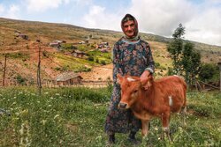 ۳۶۰۰ فرصت شغلی جدید روستایی و عشایری در استان سمنان ایجاد می‌شود