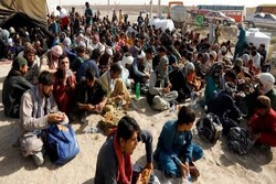 Thousands of Afghan refugees return home each day: Taliban