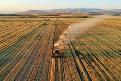 خیز ترکیه برای اجاره زمین های کشاورزی در آمریکای لاتین