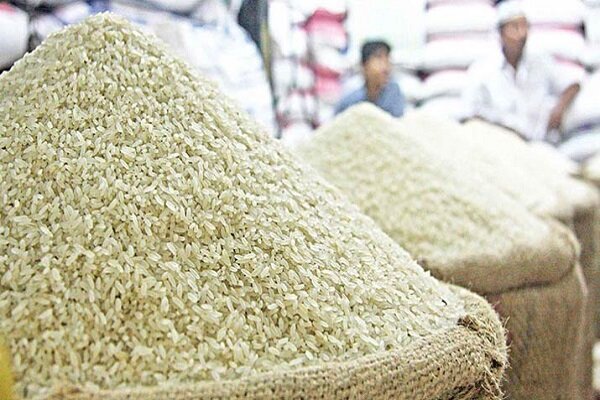 ۵۰۳۳ تن برنج در بازار لرستان توزیع شد/رتبه دوم اجرای کشت قراردادی