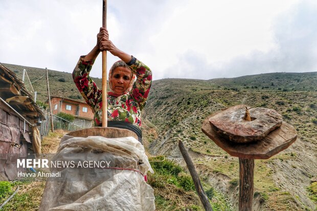 دامداری سنتی مازندران