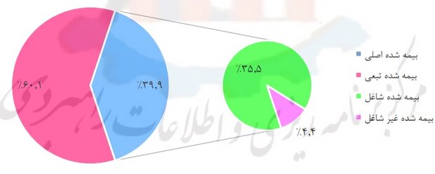 افزایش تعداد بیمه شده ها/ ۱۳.۵ میلیون بیمه شده شاغل داریم