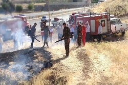 شناسایی ۲۵۵ نقطه بحرانی آتش‌سوزی در منابع  طبیعی کرمانشاه
