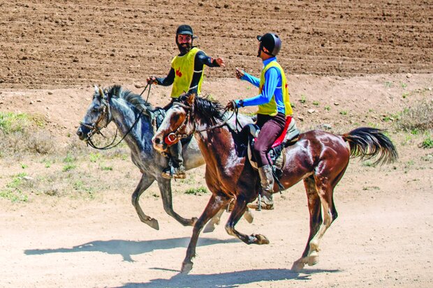 Endurance riding held in Kurdistan - Tehran Times