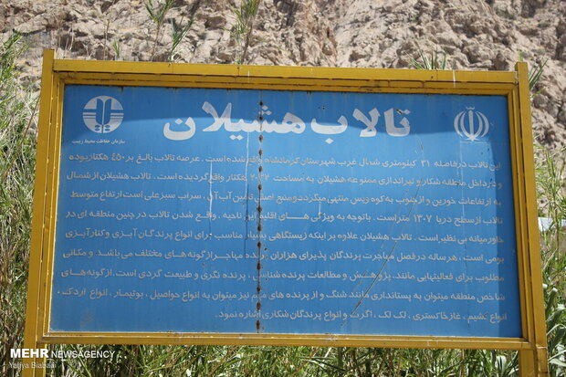 «هشیلان»بهشتی هزار تکه در غرب ایران/جزایر۱۱۰گانه ذخیرگاه محیط است