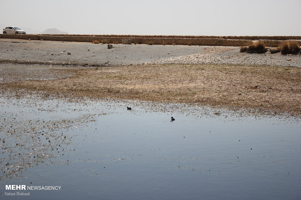 تیغ کمآبی بر پیکر تالاب هشیلان/ حقابه مسکنی برای حل مشکلات است