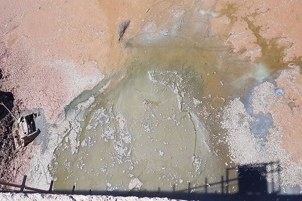 عدم لایروبی و بی آبی در سد حلبی ساز موجب مرگ هزاران قطعه ماهی شد