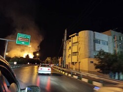آتش سوزی چند درخت در مشهد/ حادثه خسارت جانی نداشت