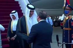 Katar Emiri Şeyh Temim Al Sani, Mısır'da