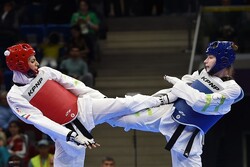 Iran wins 2 gold, 1 silver medals in Taekwondo C'ships