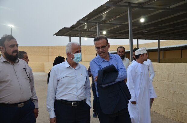 هیئت عالی‌رتبه دامپزشکی عمان از قرنطینه دام بوشهر بازدید کردند