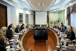 Iran, Tajikistan poised to strengthen coop. in energy field