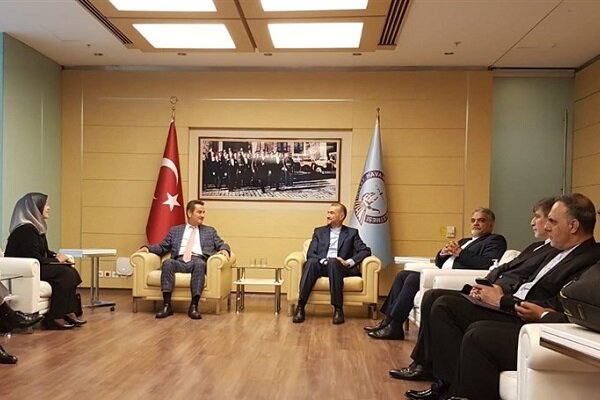 عبداللهيان يصل تركيا في زيارة رسمية 