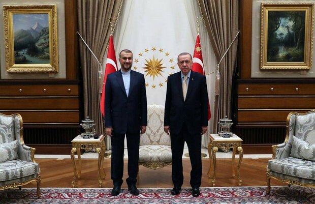 Emir Abdullahiyan, Erdoğan ile bir araya geldi