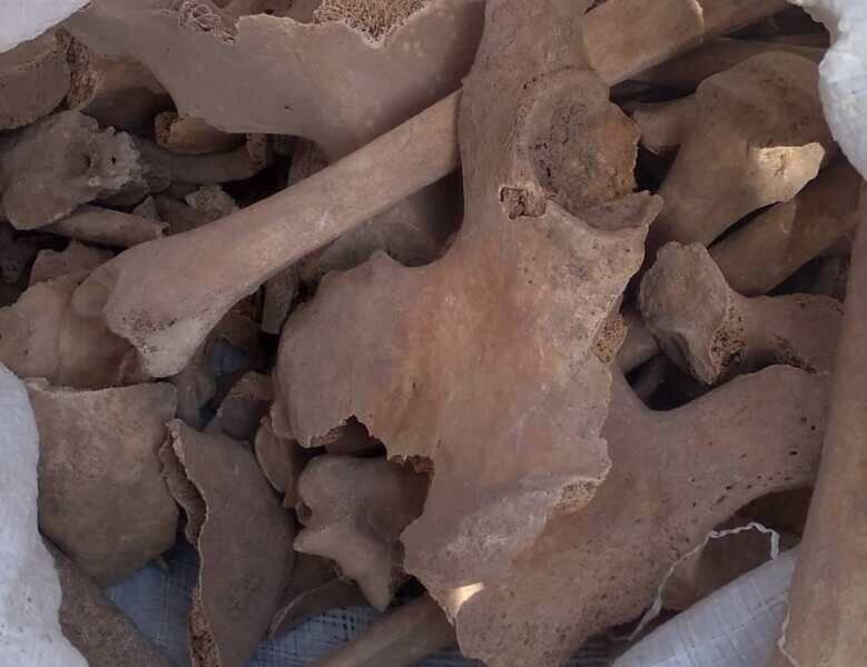 بقایای اسکلت ۲ انسان در محوطه تاریخی بخش کدکن کشف شد