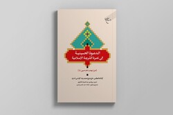 کتاب «اسرار نهضت امام حسین (ع)» روانه بازار نشر شد / علت عزیمت امام حسین (ع) به مکه چه بود؟